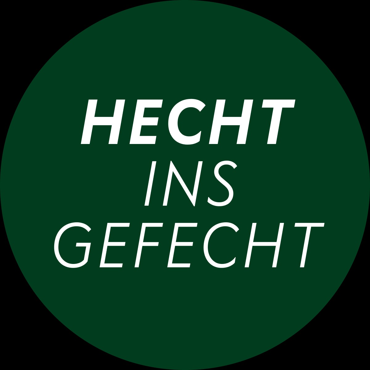 Logo von HECHT INS GEFECHT – Digitalagentur für Webdesign & SEO