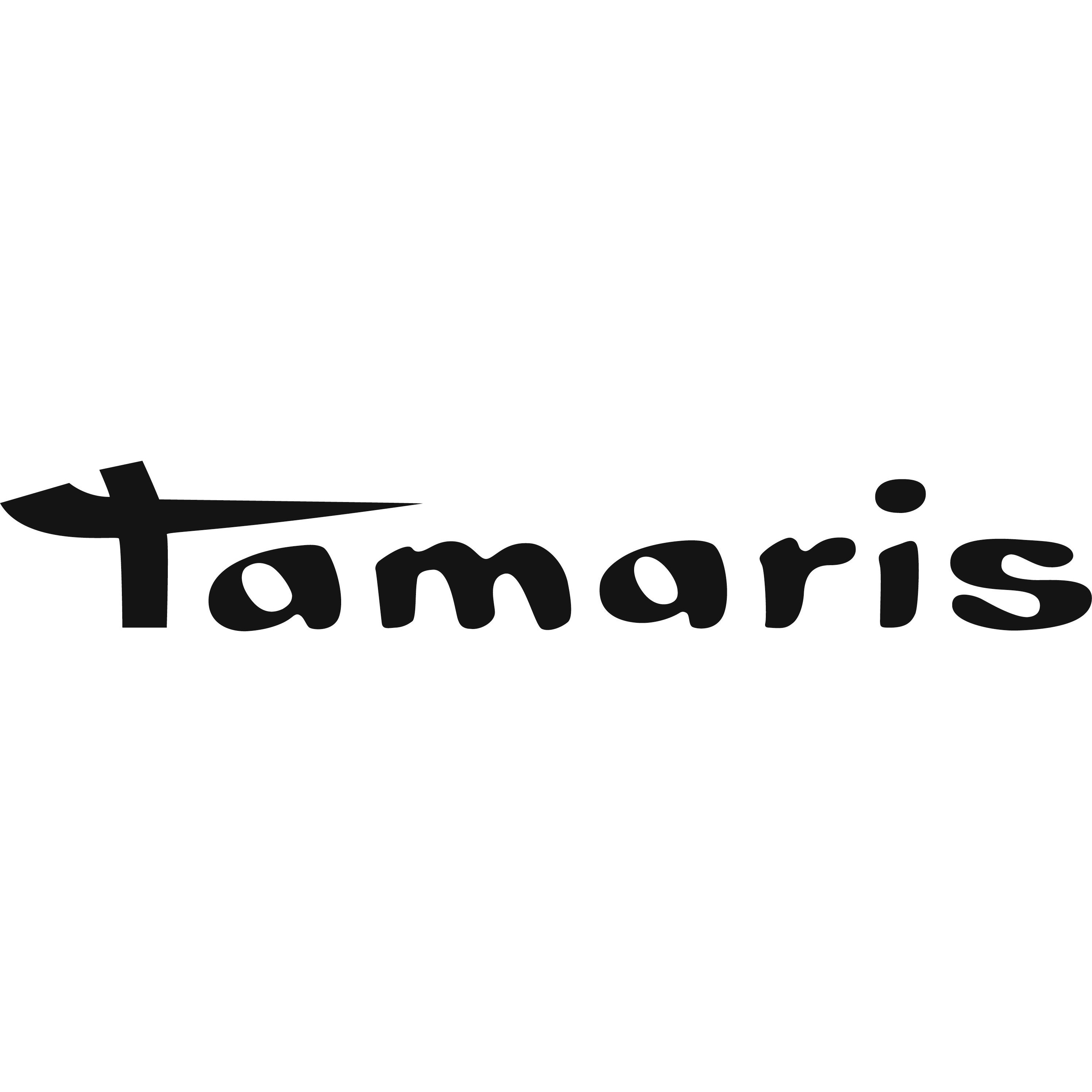 Tamaris in 83022 Rosenheim